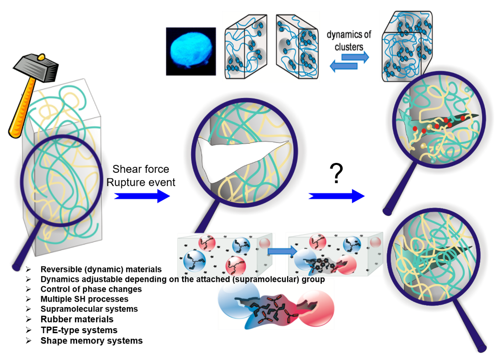 Biomimetic, renewable and self-healing polymers – Macromolecular Chemistry